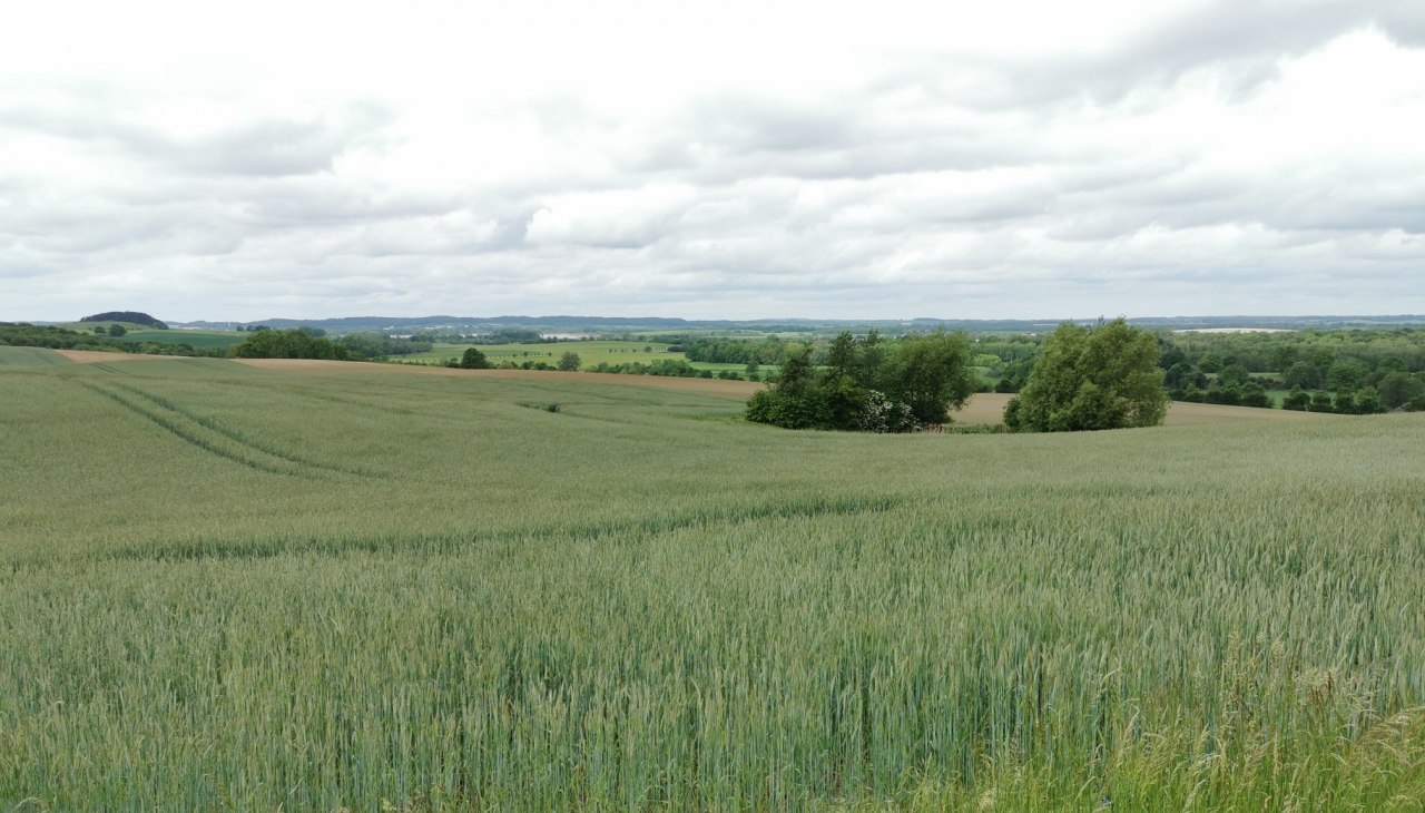 Uitzicht vanaf de barbecueplaats in Pohnstorf, © E-Bike MV Uitzicht vanaf de barbecueplaats in Pohnstorf, © E-Bike MV
