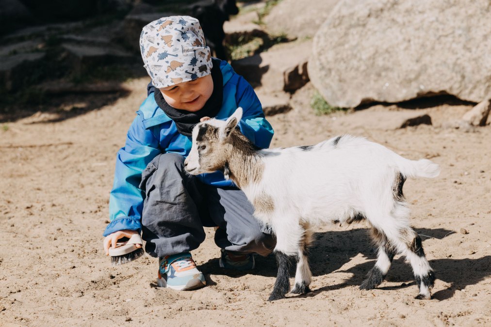 Tiergarten Neustrelitz, © Theresa Lange Tiergarten Neustrelitz, © Theresa Lange
