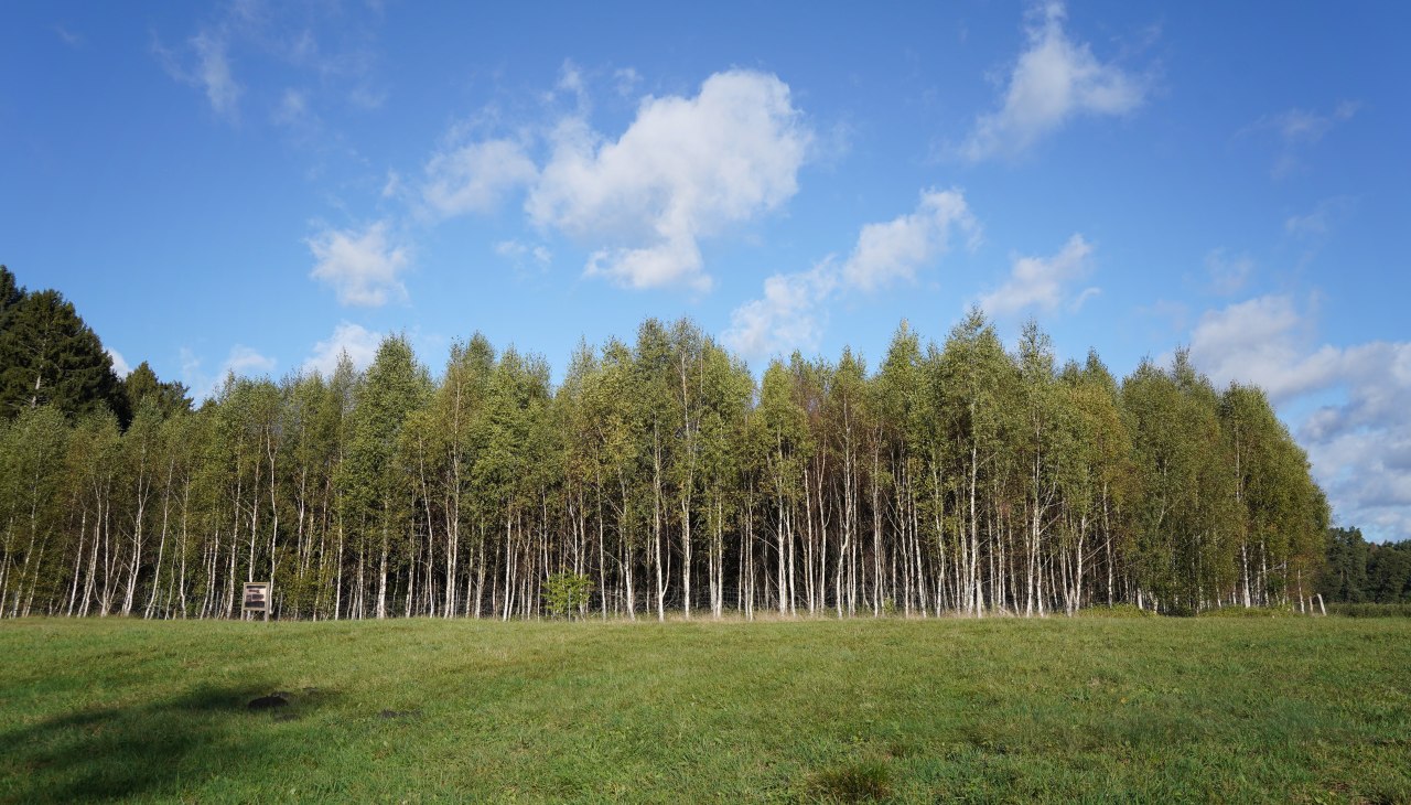 Klimawald Mirow, © Landesforst MV Klimawald Mirow, © Landesforst MV