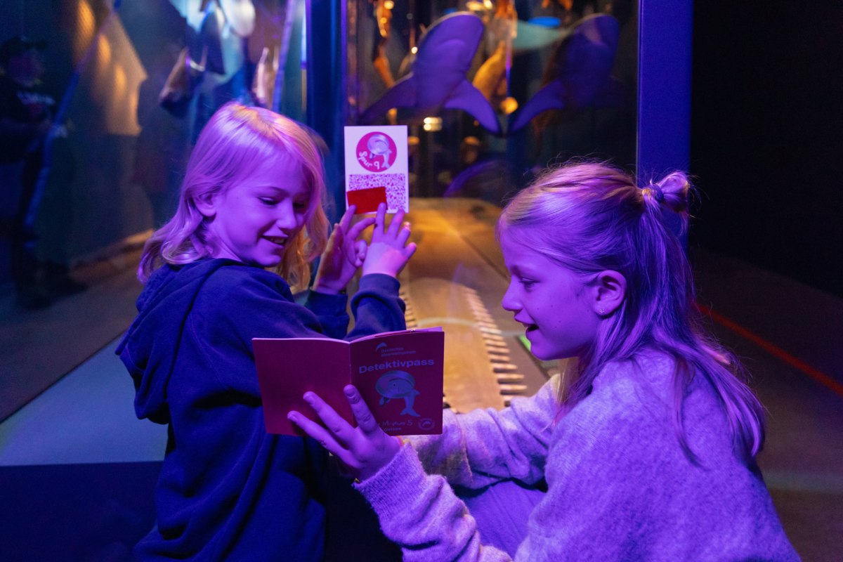 Zwei Kinder sitzen unter UV-Licht vor einer Vitrine und schauen erstaunt auf ein kleines Heft, welches eines der Kinder in den H&auml;nden h&auml;lt. // &copy; Anke Neumeister/Deutsches Meeresmuseum