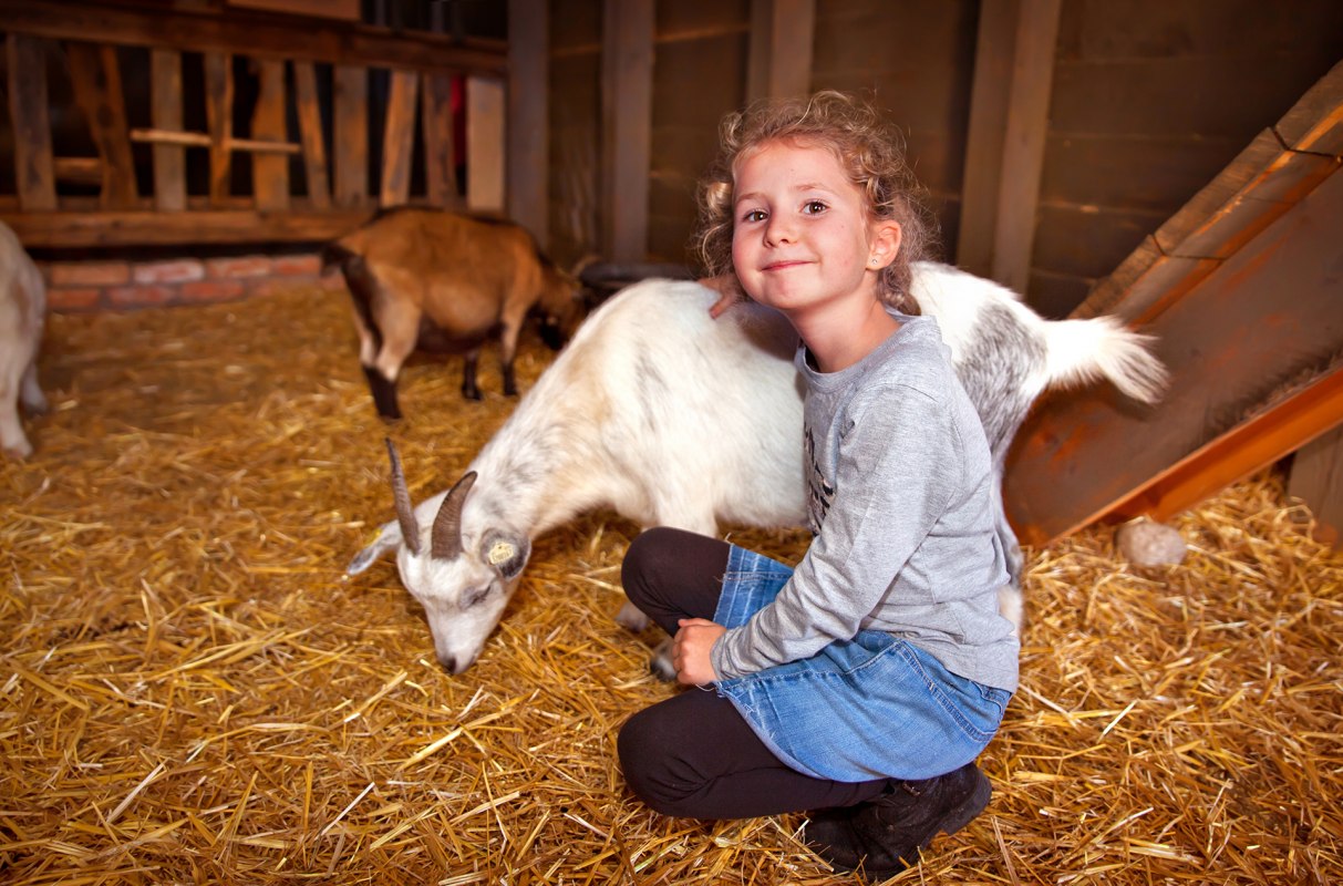 Kinderboerderij // &copy; Karls Erlebnis-Dorf