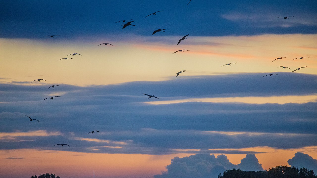 &copy; Wei&szlig;e Flotte GmbH