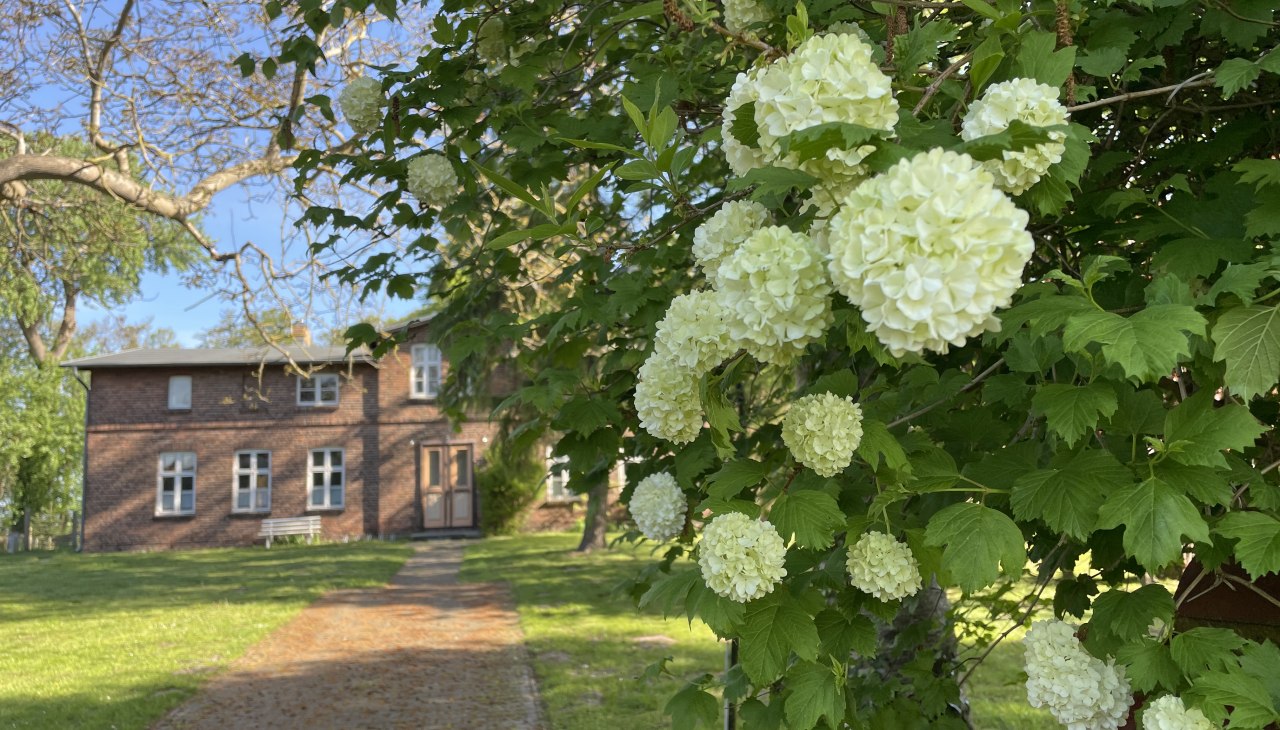 Pfarrhaus, © TZ Südliche Boddenküste Pfarrhaus, © TZ Südliche Boddenküste