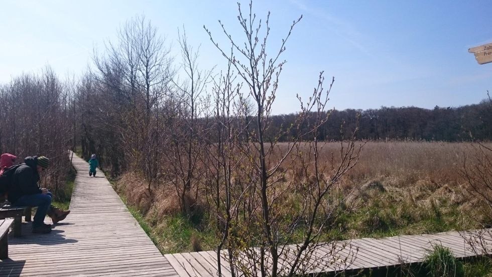 Ruststop bij Darßer Ort, © TMV/UB Ruststop bij Darßer Ort, © TMV/UB