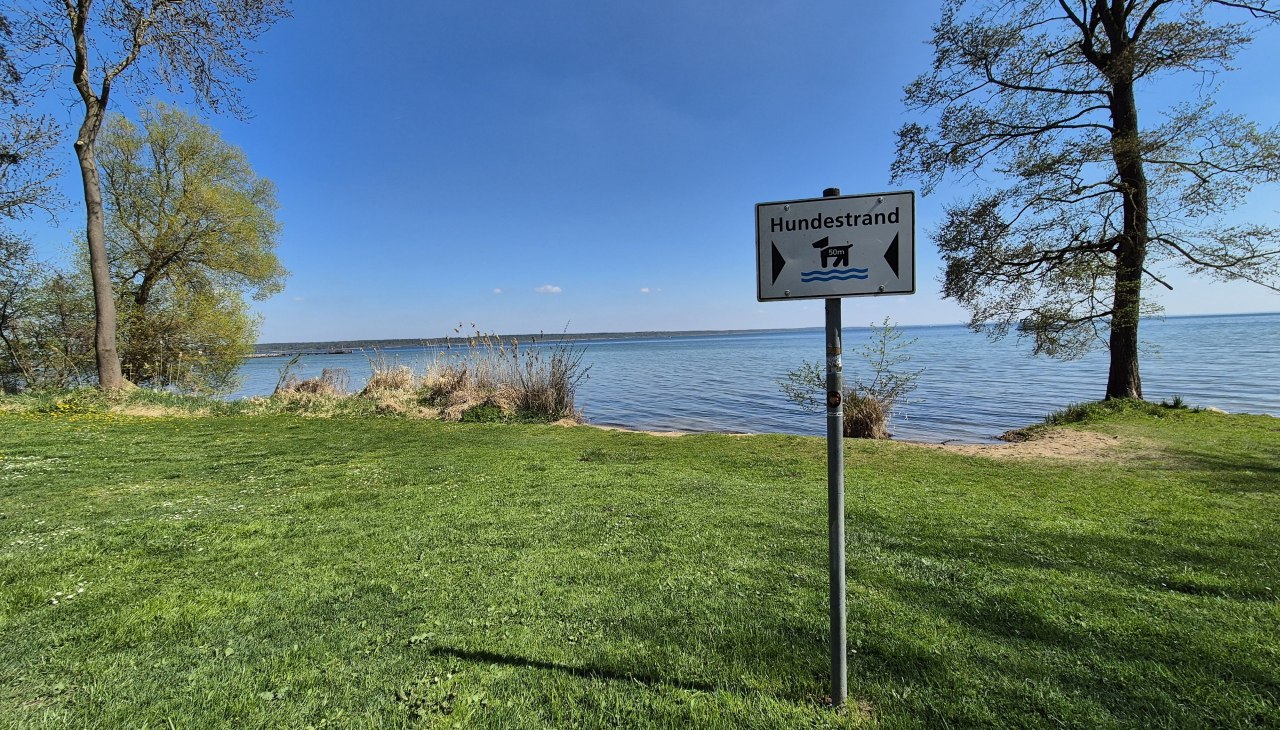 Hundebadestrand Klink, © Gina Schulenberg Hundebadestrand Klink, © Gina Schulenberg