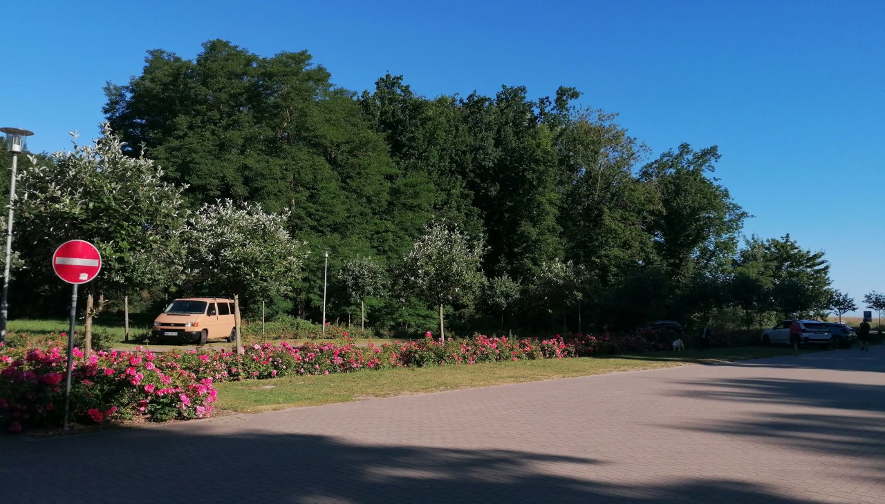 Tag der Vereine auf dem Strandparkplatz Stubbenfelde, © Stubbenfelde_Parkplatz_3.jpg Tag der Vereine auf dem Strandparkplatz Stubbenfelde, © Stubbenfelde_Parkplatz_3.jpg