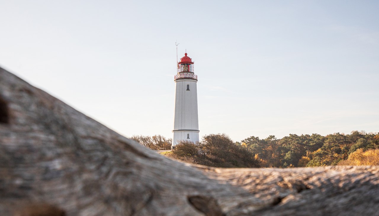 Insel Hiddensee im Herbst erleben, &copy; Wei&szlig;e Flotte GmbH