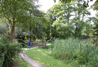 Seit der Umgestaltung des Walls zur Grünanlage dient er der Erholung. // © Gabriele Skorupski Seit der Umgestaltung des Walls zur Grünanlage dient er der Erholung. // © Gabriele Skorupski