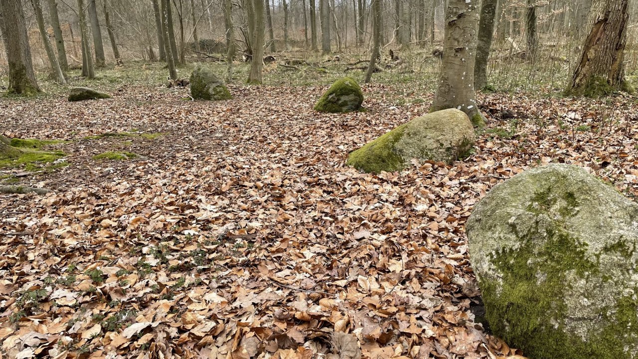 © TZ Südliche Boddenküste © TZ Südliche Boddenküste