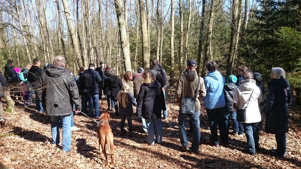 Gef&uuml;hrte Wanderung zum Tag des Baumes