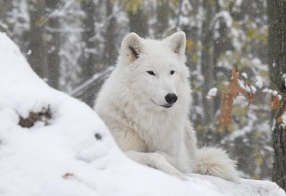 © Hansestadt Stralsund