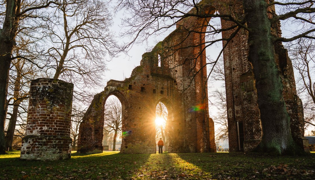 Sonnenstrahlen fallen durch die Backsteinb&ouml;gen der Klosterruine Eldena in Greifswald und werfen warme Lichtspuren auf das Gras.