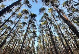 © 31190635-8a8b-405f-84f8-ce9f3a123454.jfif © 31190635-8a8b-405f-84f8-ce9f3a123454.jfif