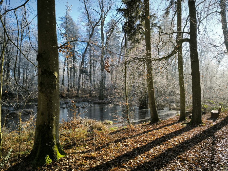 Hertha-See im Hohen Holz, © Jana Koch
