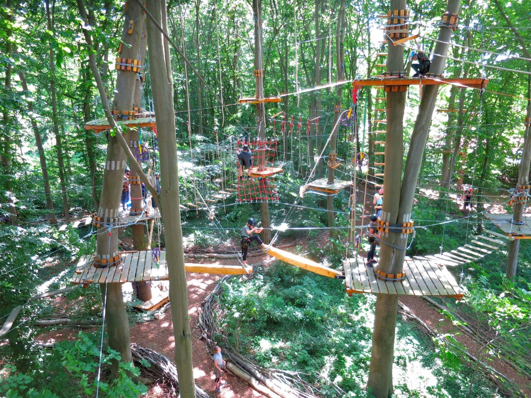 Übersicht Kletterwald // © Michael Schicha Übersicht Kletterwald // © Michael Schicha