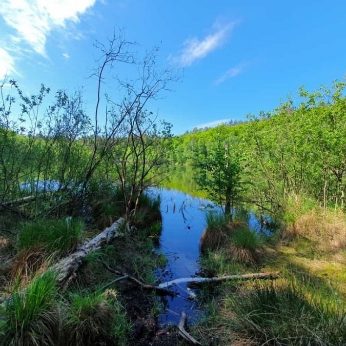 Wienpietsch, © Waren (Müritz)-Information