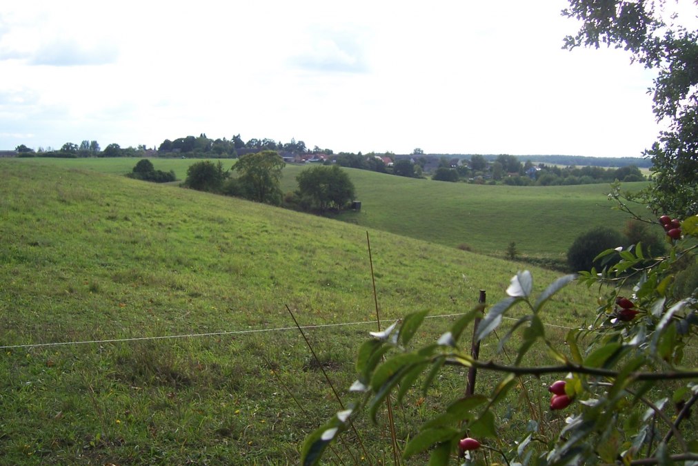 Blick aufs Dorf, © Ulrike Rosin Blick aufs Dorf, © Ulrike Rosin