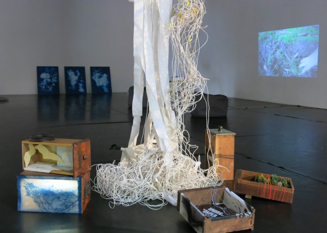 Installationsansicht Wachsen , Wuchern, W&uuml;hlen, Wundern 2025 Mixed Media // &copy; Friederike Preuschen