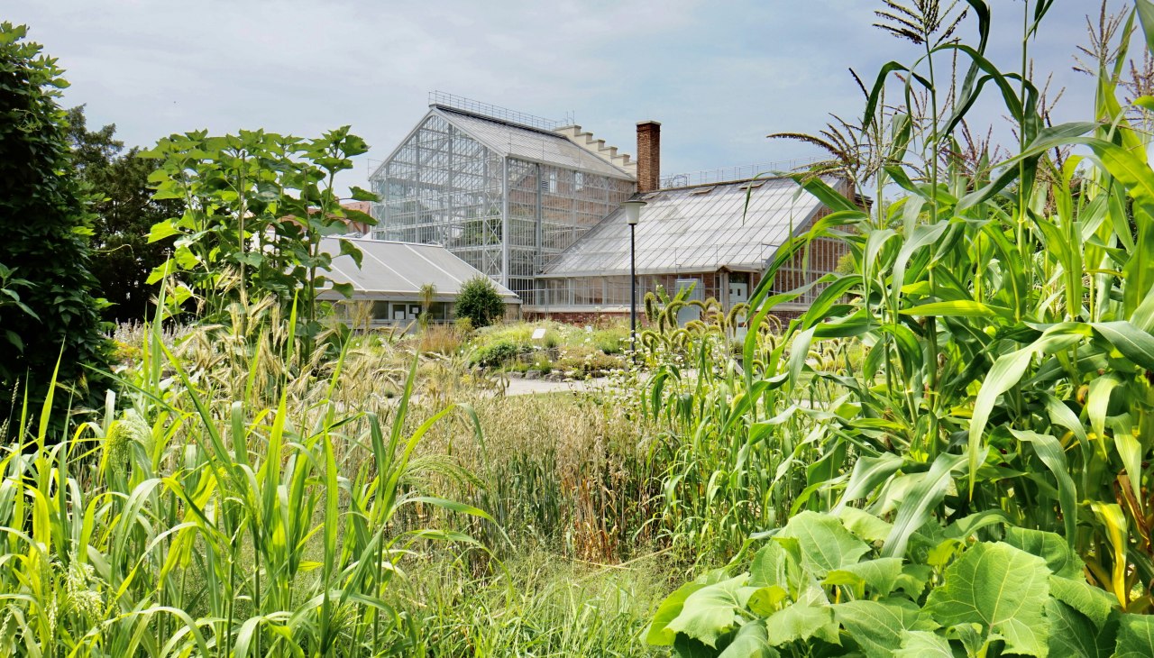 Botanischer Garten, &copy; Gudrun Koch