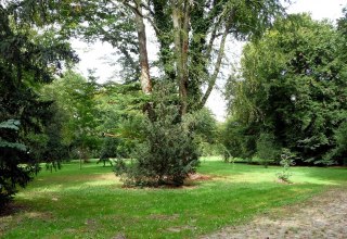 Parkgel&auml;nde, &copy; Sabrina Wittkopf-Schade