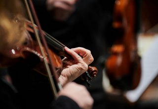 &copy; Mirco Dalchow