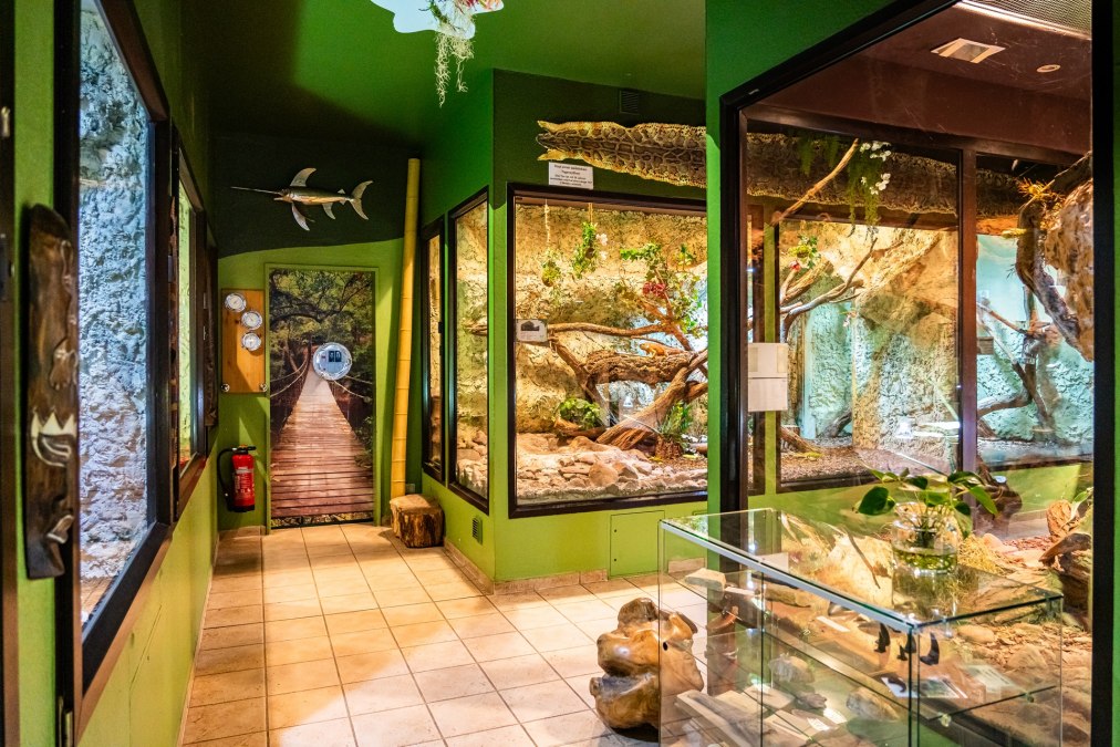 Tropenzoo Bansin, © Tropenzoo_Bansin_Marcel_Piper Tropenzoo Bansin, © Tropenzoo_Bansin_Marcel_Piper