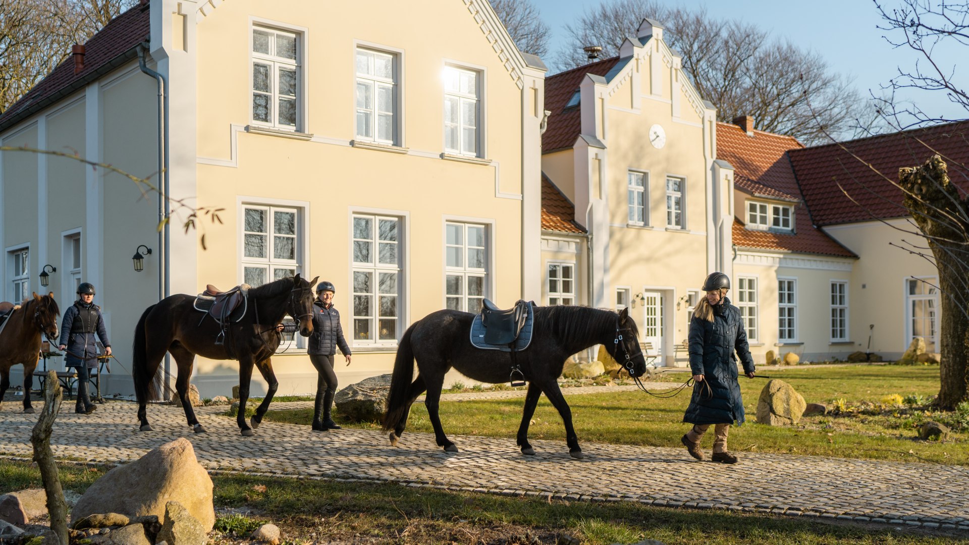 Pferde werden vorbei am Gutshaus Ehmkendorf gef&uuml;hrt f&uuml;r einen Ausritt zum Sonnenuntergang.