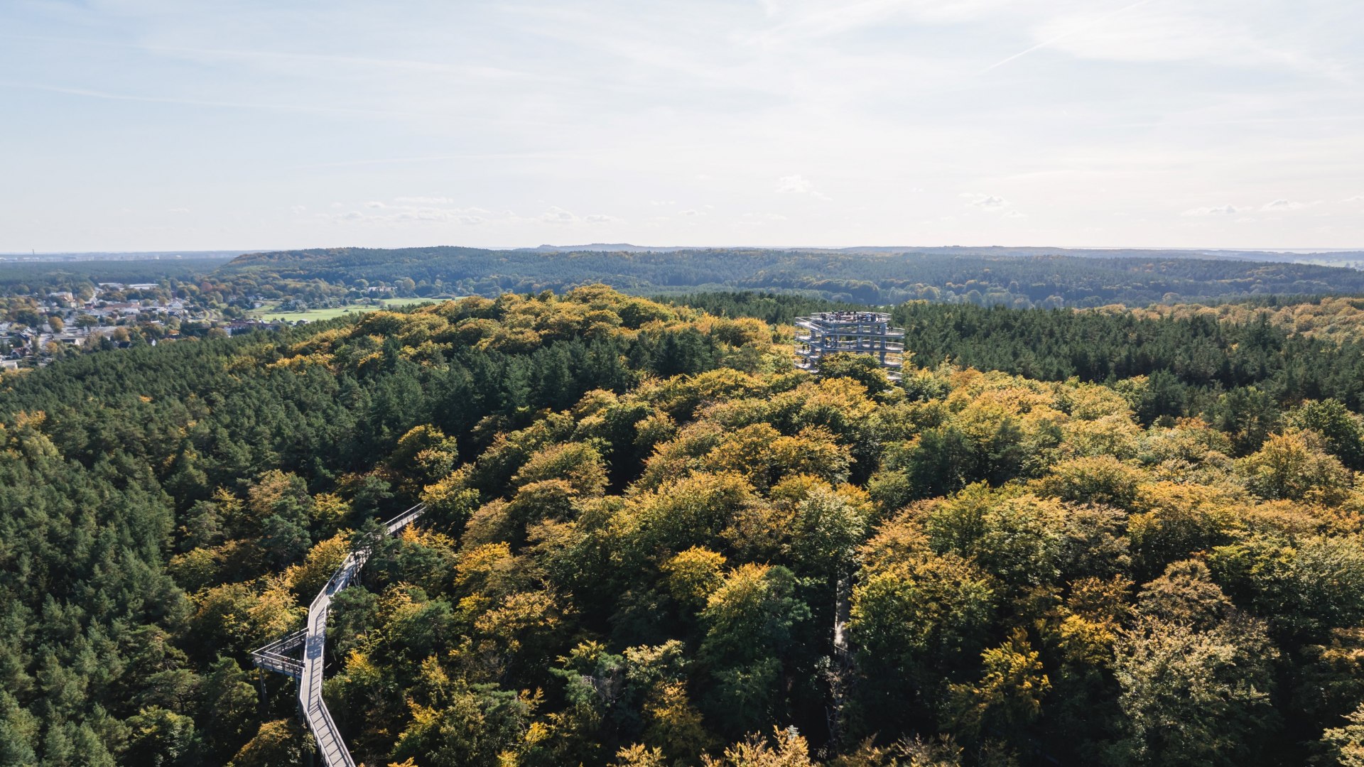 Luftaufnahme eines Baumwipfelpfads, der sich durch einen dichten Wald schl&auml;ngelt, mit einem Aussichtsturm im Hintergrund.