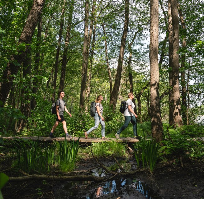 Die Natur des Sternberger Seenlandes lässt sich auf viele Weise und Wegen erkunden. Drei Freunde machen sich auf, hier zu Fuß durch die dichten Wälder am Ufer des Labenzer Sees. , © TMV/Gross