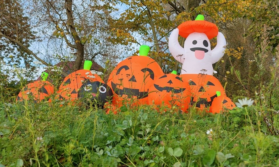 Pompoenoptocht, © Christian Beckert Pompoenoptocht, © Christian Beckert