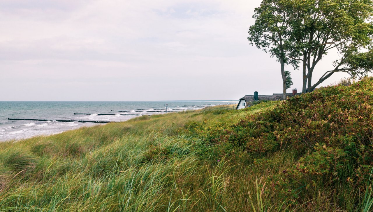 Pure Idylle in den Dünen von Ahrenshoop, © TMV/Süß
