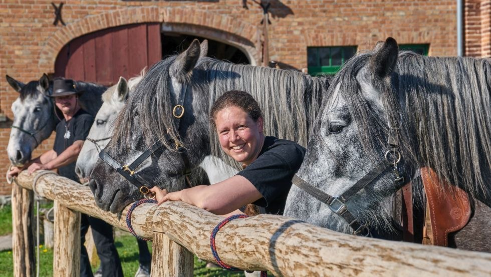 Spanish-Norman Horses vor dem Kornspeicher auf dem Gestüt Herian // © Michael Schauenberg Spanish-Norman Horses vor dem Kornspeicher auf dem Gestüt Herian // © Michael Schauenberg