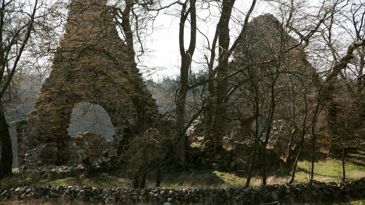 Woestijnkerk Domherrenhagen // &copy; Silke Voss