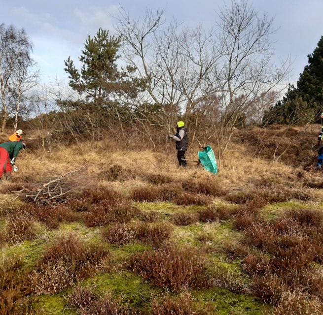 © Nationalparkamt Vorpommern © Nationalparkamt Vorpommern