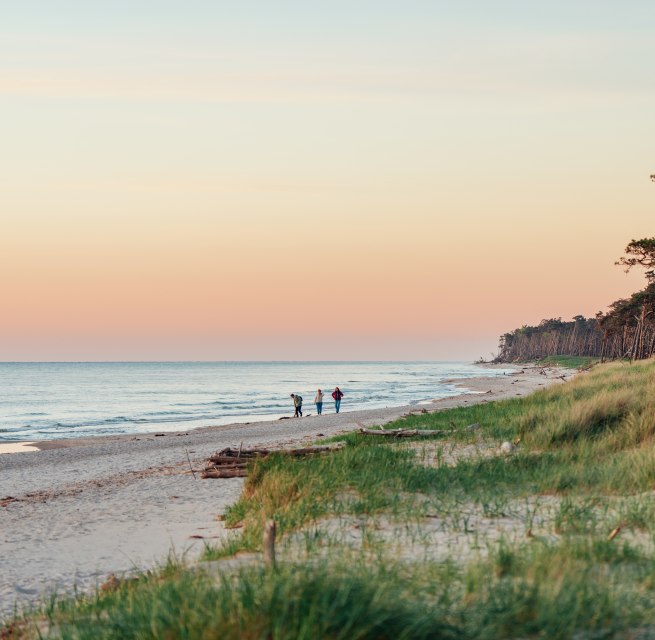 Een idyllische wandeling op het westelijke strand van de Dar&szlig;: drie mensen genieten van de zonsondergang terwijl de kust in warme kleuren oplicht en de natuur tot rust komt.