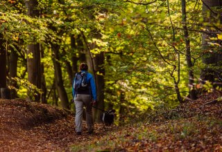 © Binzer Bucht Tourismus © Binzer Bucht Tourismus