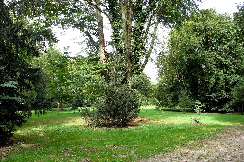 Parkgebied, © Sabrina Wittkopf-Schade Parkgebied, © Sabrina Wittkopf-Schade