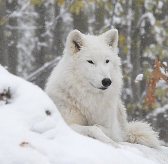 © Hansestadt Stralsund © Hansestadt Stralsund