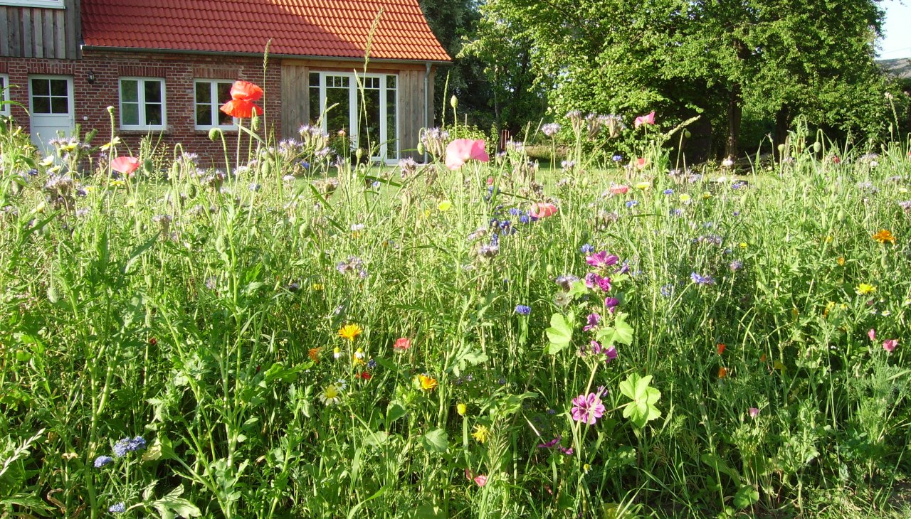 Smedsens Hoff 1 Galerij PL, © Galerie PL Smedsens Hoff 1 Galerij PL, © Galerie PL