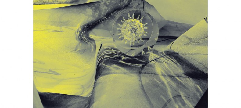 Collage, 2026 // &copy; Anna Silberstein & Karen Kunkel