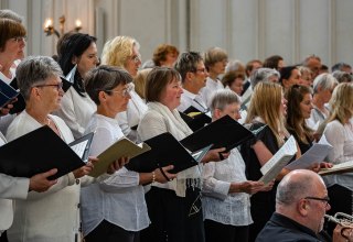 &copy; Geert Maciejewski