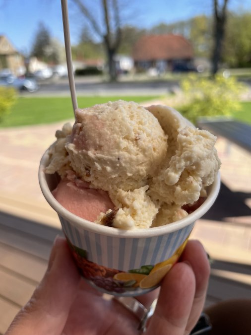 IMG_1413, © Südliche Boddenküste IMG_1413, © Südliche Boddenküste