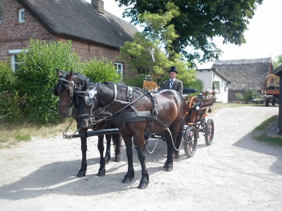 Een koetsrit is een bijzondere ervaring voor het hele gezin., &copy; Juliana V&ouml;lkner