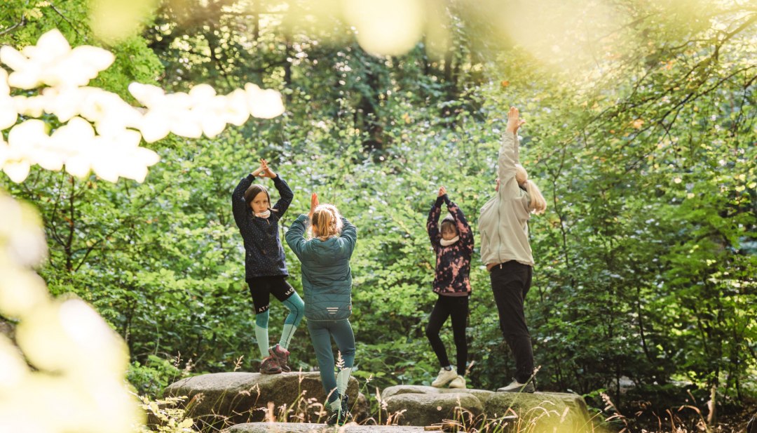 Eine Gruppe von Kindern und einem Erwachsenen praktiziert Yoga im Wald, stehend auf gro&szlig;en Steinen, umgeben von gr&uuml;nem Laub.