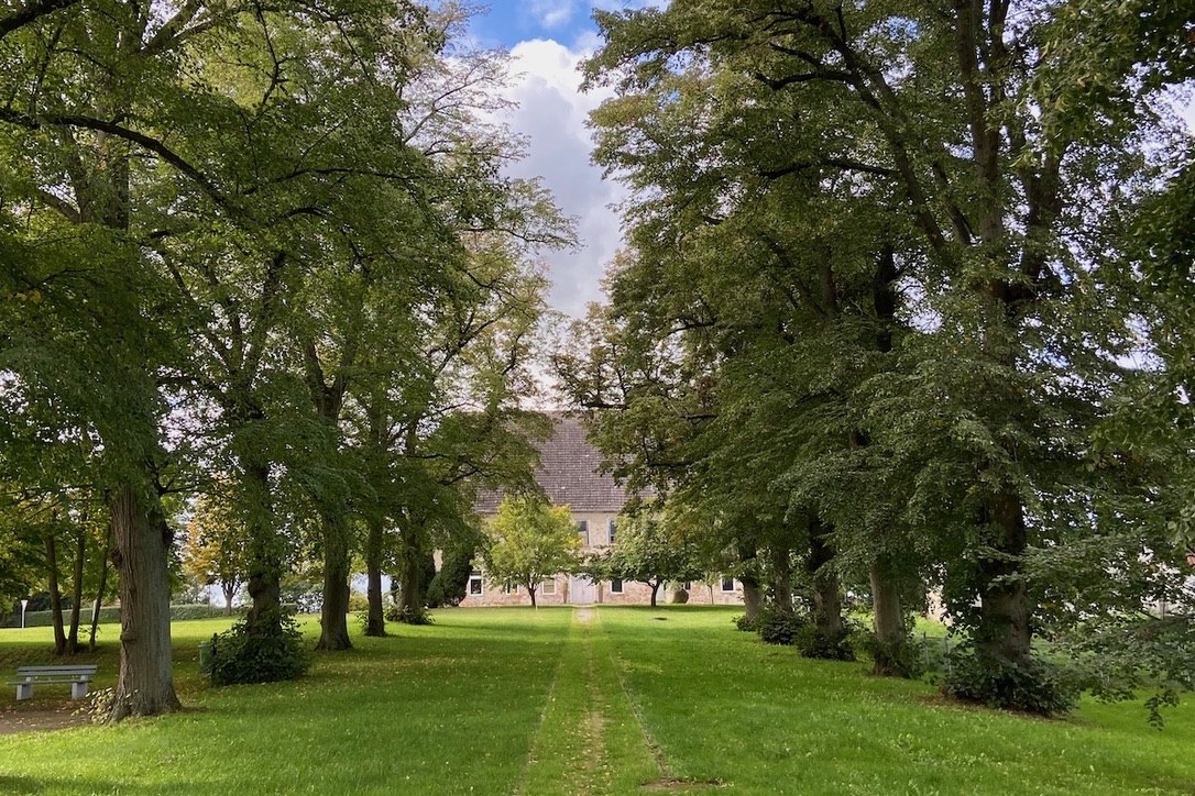 Historische Allee Gut Dahlen // © Felix Garten Giuliana Martinez Historische Allee Gut Dahlen // © Felix Garten Giuliana Martinez