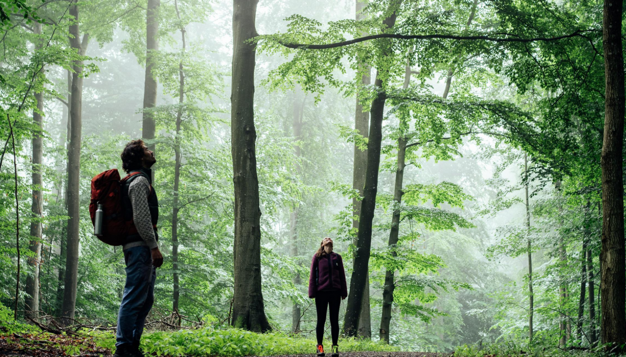 Mecklenburgische Schweiz, © Felix Gänsicke/TMV Mecklenburgische Schweiz, © Felix Gänsicke/TMV