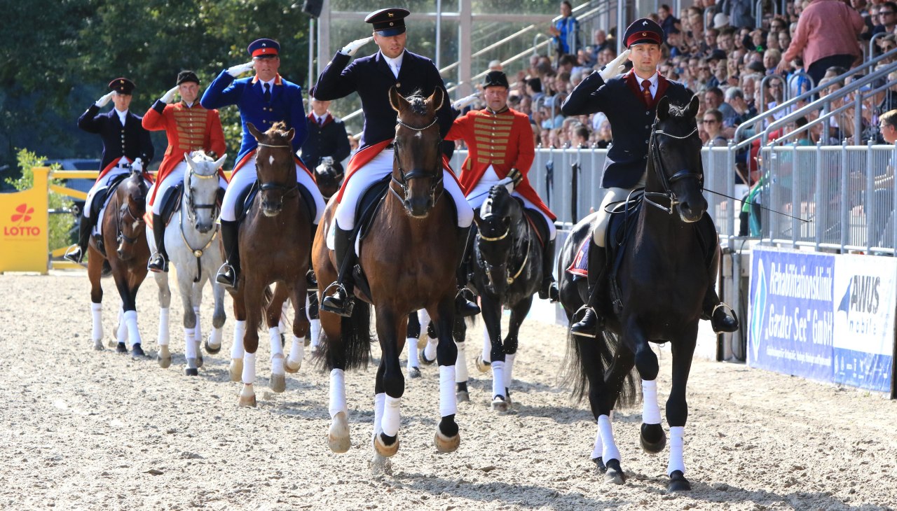 Pferdetage Landgest&uuml;t Redefin, &copy; Sven F&ouml;rst