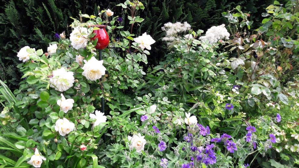 leuchtend rot glasierte Knospen und Samenkapseln in verschiedenen Größen (Stabaufstecker), © Jana Kohlschmidt leuchtend rot glasierte Knospen und Samenkapseln in verschiedenen Größen (Stabaufstecker), © Jana Kohlschmidt