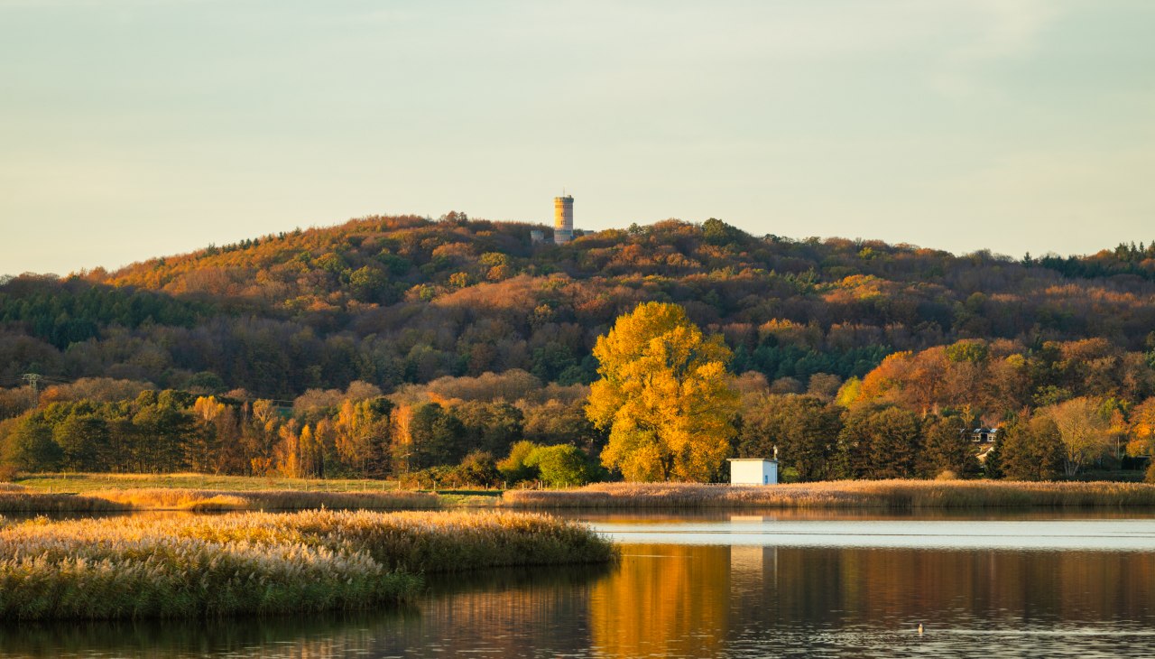 20241102-Neuensiener-See-Foto-ChBurwitz-6, &copy; CHBurwitz