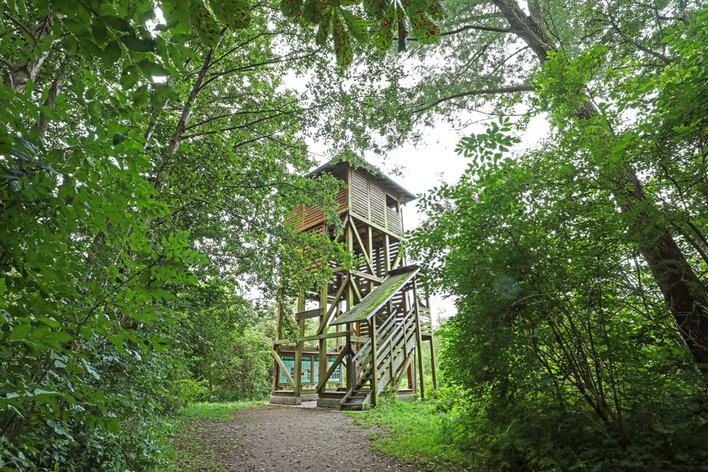 © MV-T/Gohlke © MV-T/Gohlke